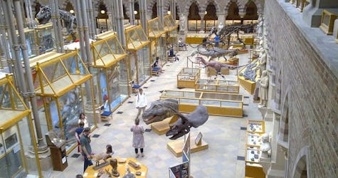 Natural History Museum of London guided tour